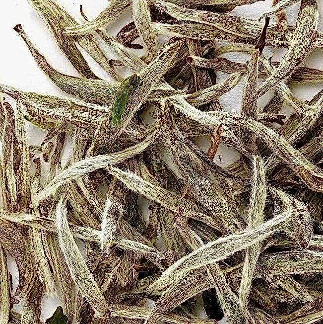 İlkbahar Çayı-Beyaz Çay
