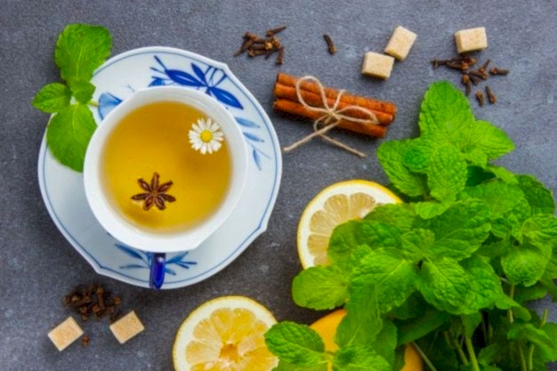 Papatya Bitkisi Nedir?