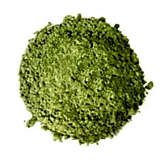 Matcha Yeşil Çay 250 gr - Saint Martin